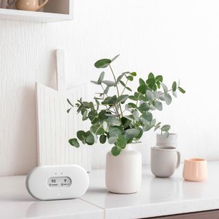 air quaility monitor on a isdeboard with a vase filled with eucalyptus and various other accessories