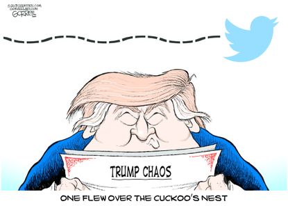 Political cartoon U.S. Trump tweets White House chaos cuckoo's nest