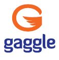 Gaggle Releases New Student Safety Solutions for Google Hangouts and Canvas