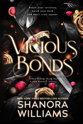 vicious bonds book cover with a sword and various red and orange shapes