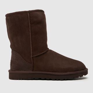 Ugg Classic Short Ii Boots in Burnt Cedar