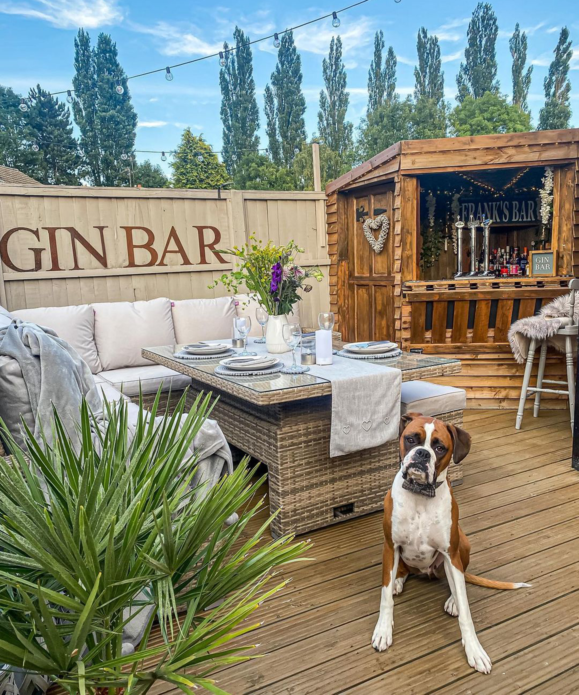 Gin bar on deck with rattan dining set, DIY bar and Boxer dog in forefront