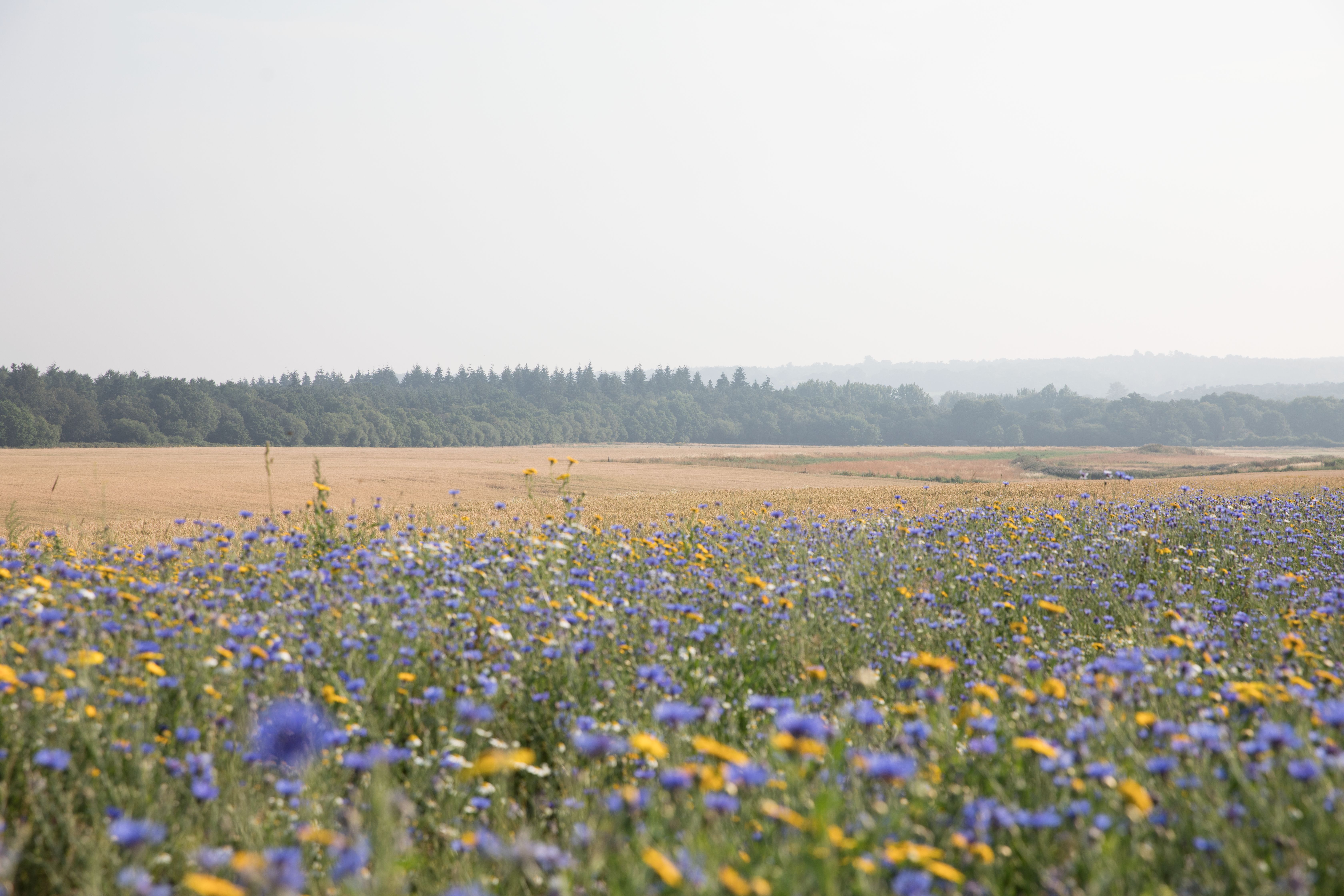 do luxury hotels need a farmer in residence