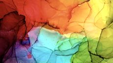 A patchwork of bright and vibrant colours