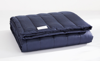 Casper Weighted Blanket (10 pounds): $169