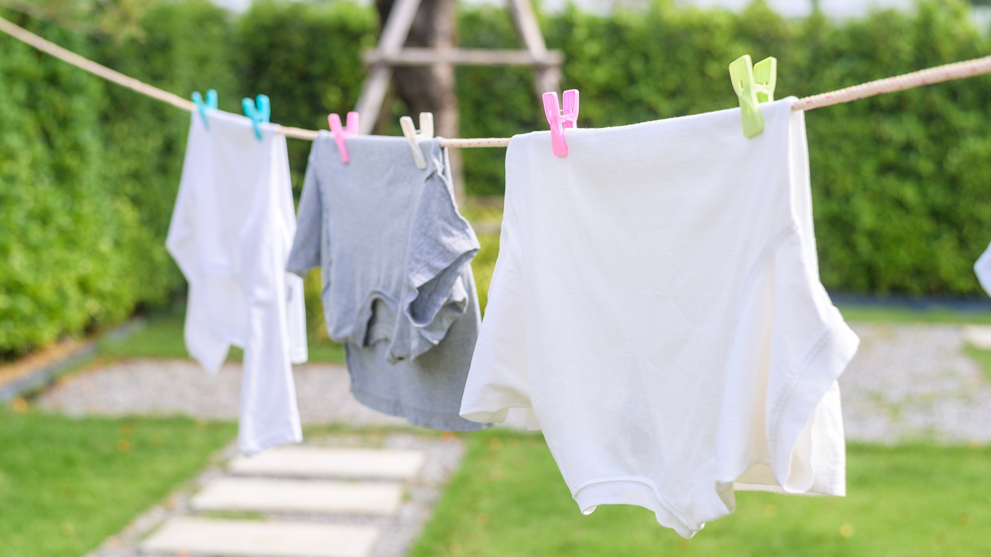Clothes on washing line
