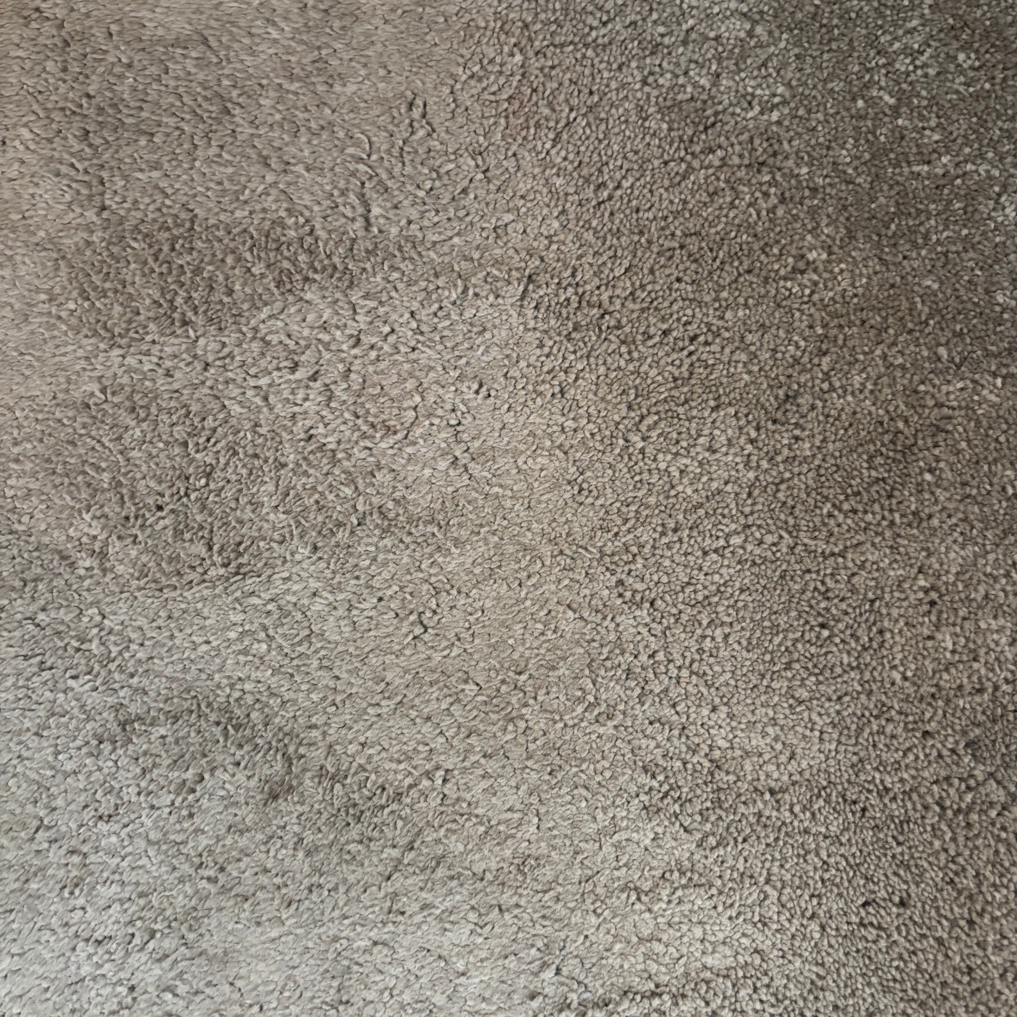 Bedroom carpets after using the Bissell SpotClean HydroSteam