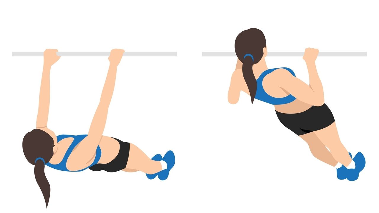 Vector inverted row exercise against white background