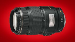 Canon EF 75-300mm f/4-5.6 IS USM