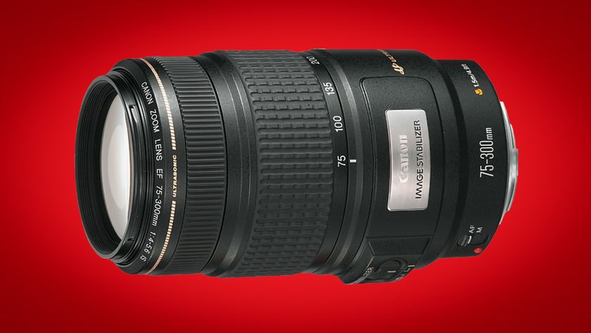Canon EF 75-300mm f/4-5.6 IS USM