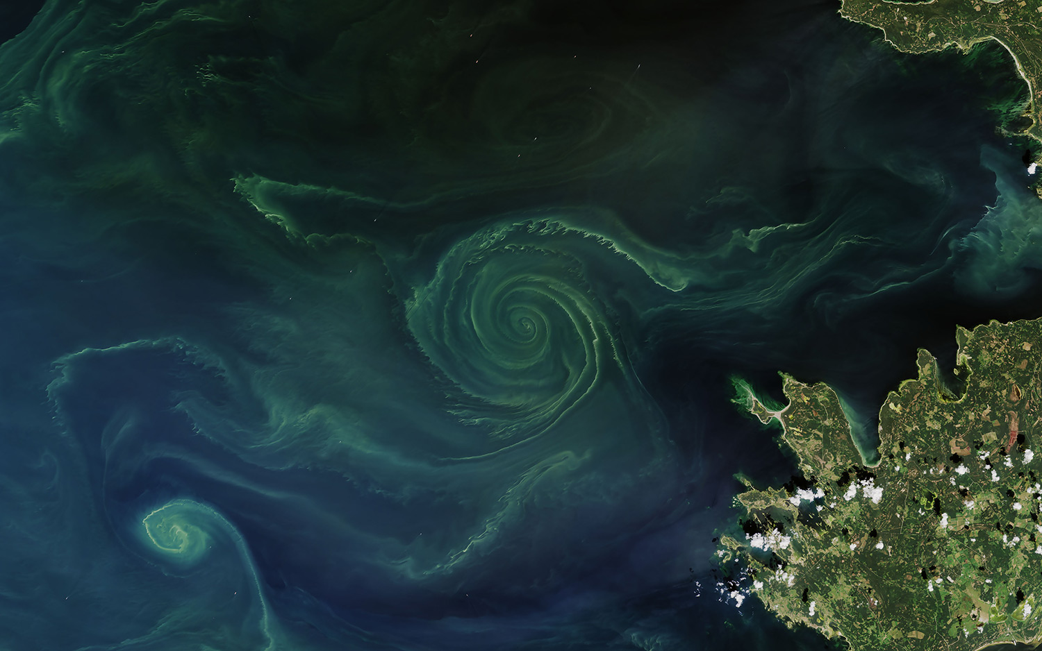 This Swirling Algae Bloom Mixes Beauty and Danger Live Science