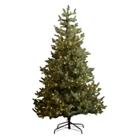 Cox & Cox Young Pine Pre-Lit Christmas Tree (6ft)