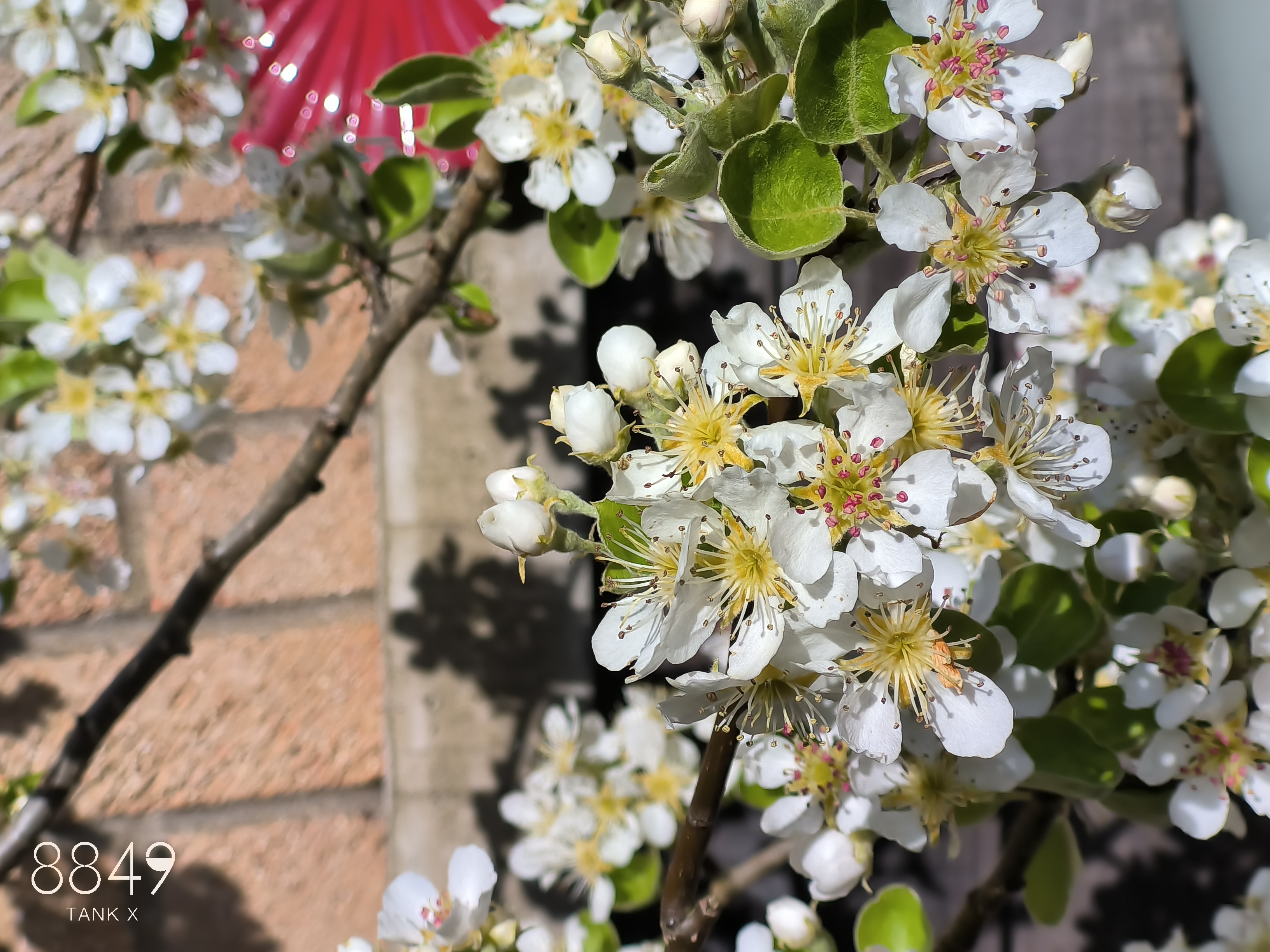 8849 Tank X Example Photos