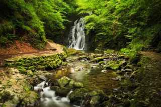 Glenoe Waterfall. Northern Ireland.