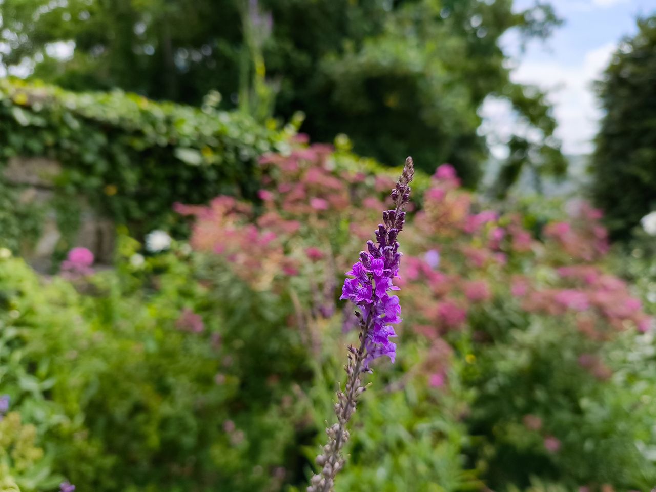 Images shot on the CMF Phone (1)