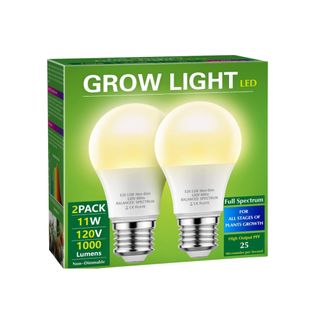 Two pack of LED lightbulbs 