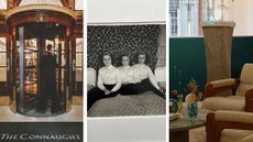 wallpaper editors picks of the week