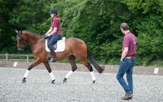 Spencer-Wiltons-Tips