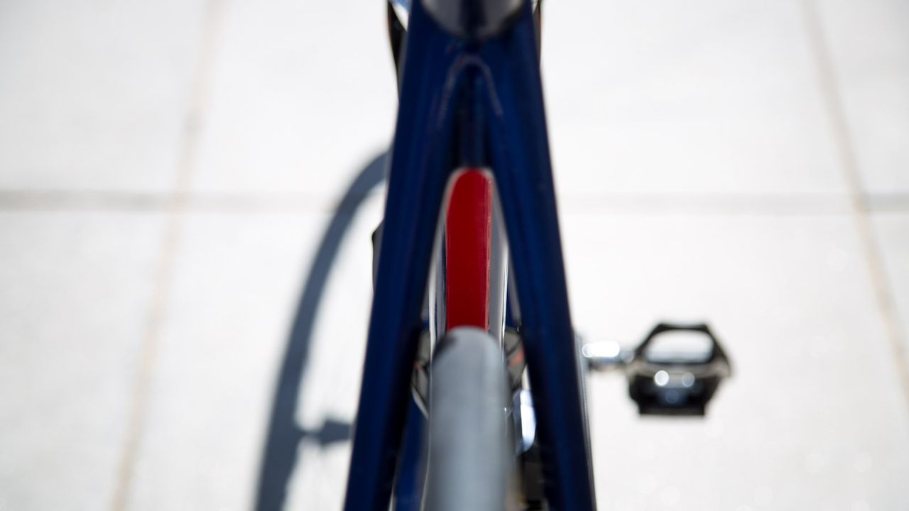 The rear end of the Scultura