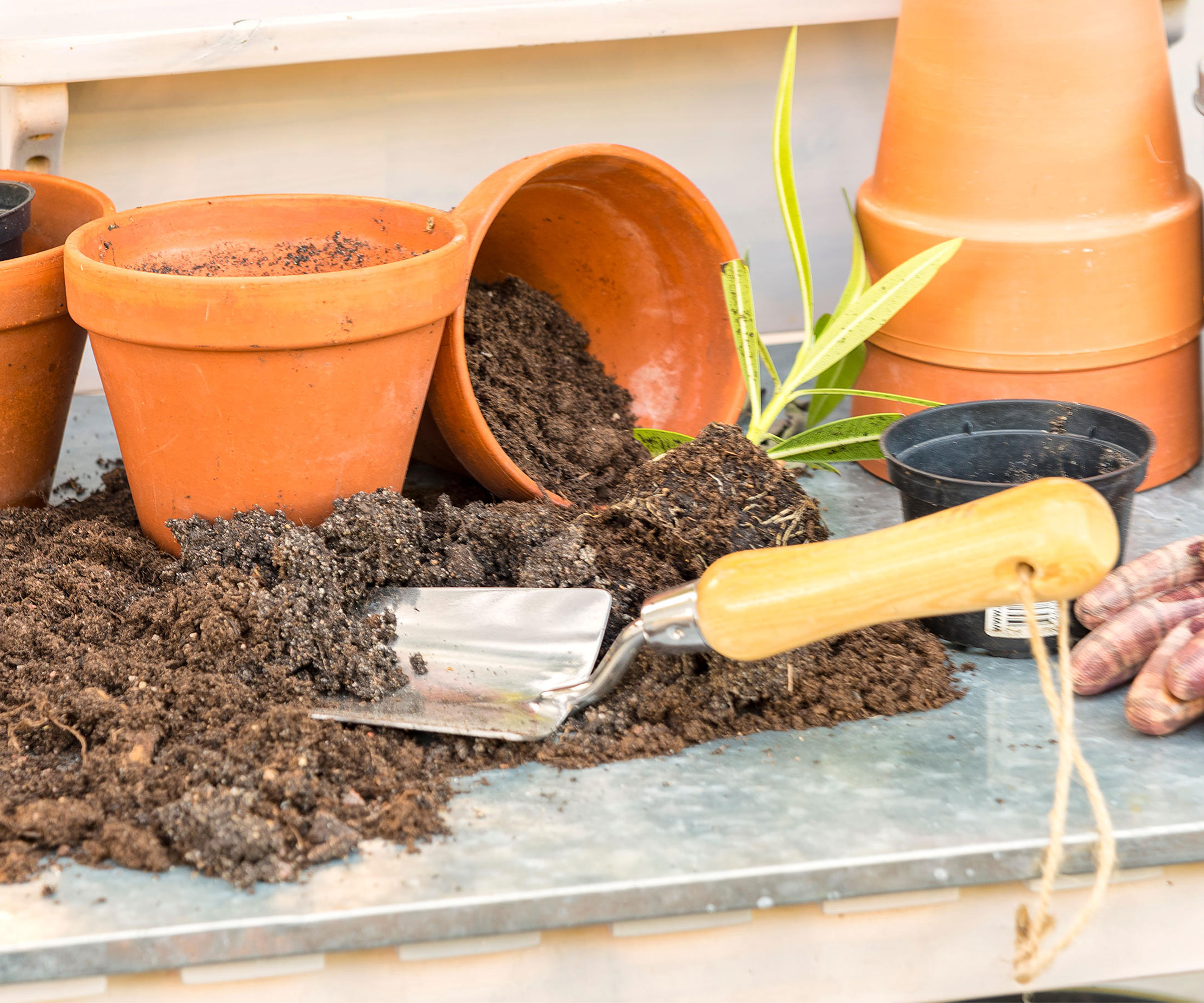 terracotta pots and potting soil with hand trowel