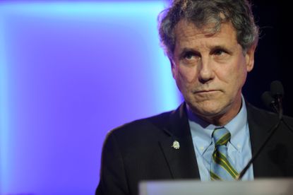 Sherrod Brown, the only Democrat who broke the red wave in Ohio.