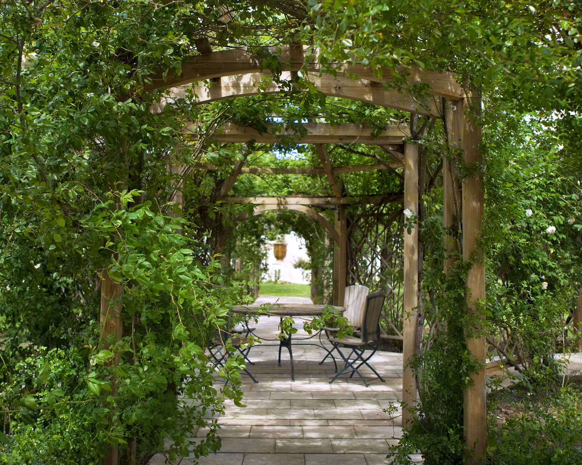 Pergola, patio and rose garden