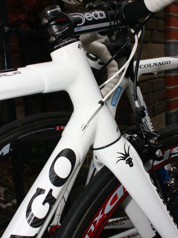 Internal cable routing is features on Sacha Modolo's new Colnago C59 - and we're guessing the entry point is removable for use with Shimano's Dura-Ace Di2 wires, too.