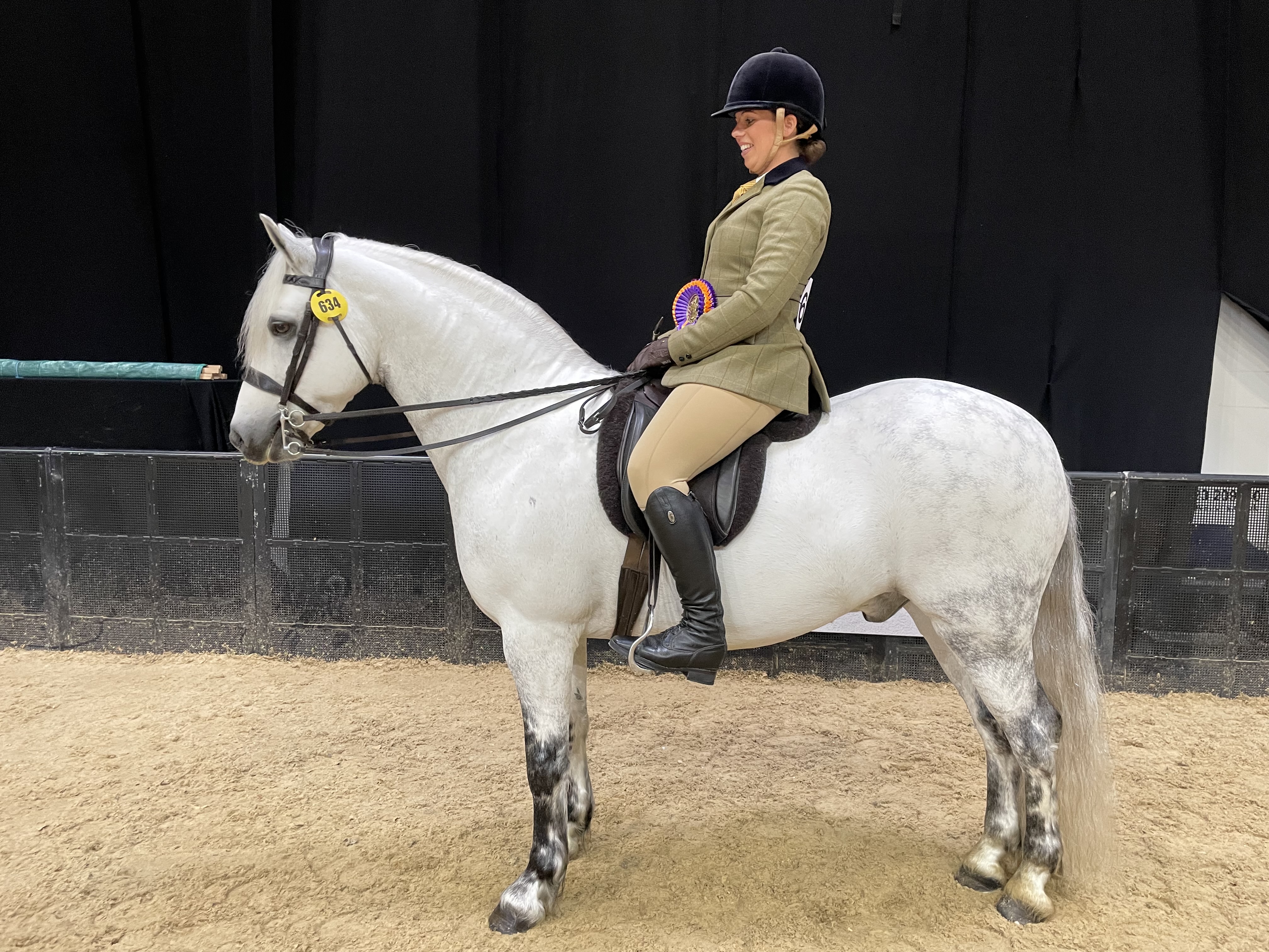 HOYS Connemara