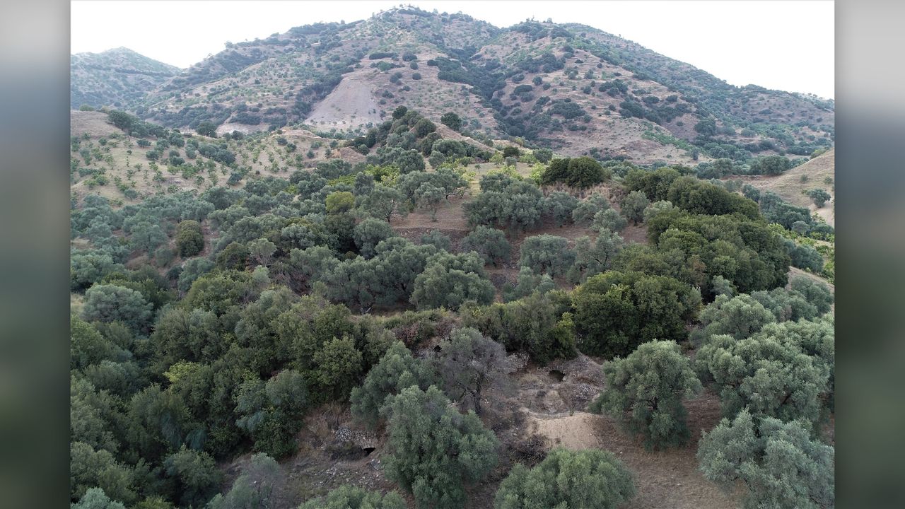 What the newfound arena site looked like before it was cleared.