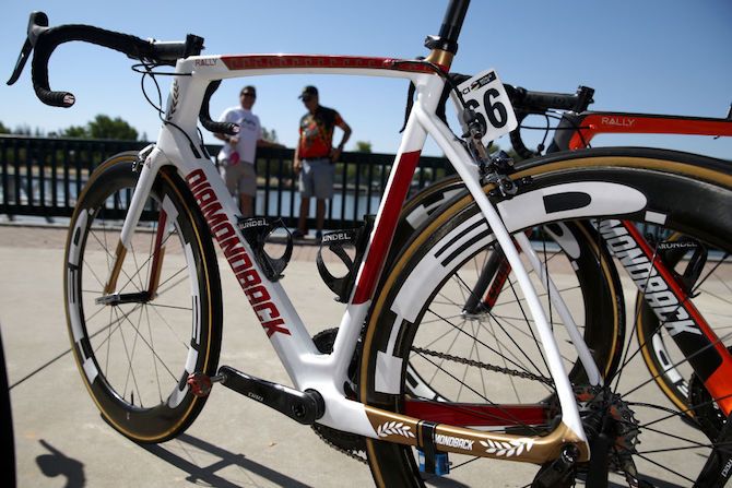 'Gladiator' is Brandon McNulty's 58cm frame. Ten-year-old Lucas' picture of himself at a colosseum inspired the design: the bronze-gold and scarlet colours, laurel wreaths and Roman mosaic patterns would be good enough for Russell Crowe to ride