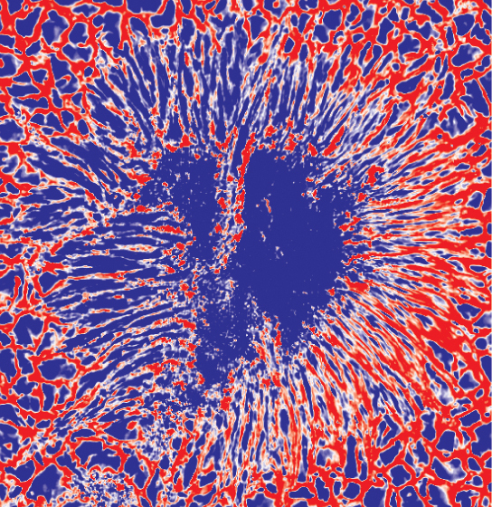Map of velocities in the sunspot as measured using the Doppler effect. Blue implies that the gas is moving towards us - this corresponds to an upward motion on the solar surface. Red implies that the gas is moving away from us - this corresponds to a downward motion on the solar surface. The net-like pattern surrounding the sunspot is solar granulation. The field of view corresponds to 24000 km on the sun.