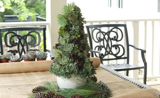 Succulent DIY Christmas tree on table outdoors