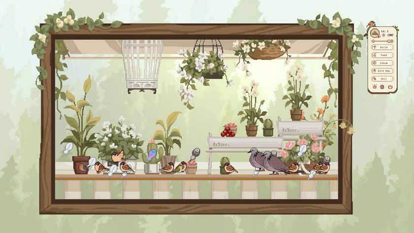 Birdwatching notebook showing various birds on the windowsill