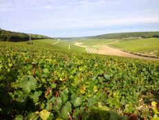 Domaine Laroche, Chablis, Burgundy
