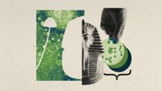 Photo collage of the funerary mask of Tutankhamun, Petri dishes and fungi