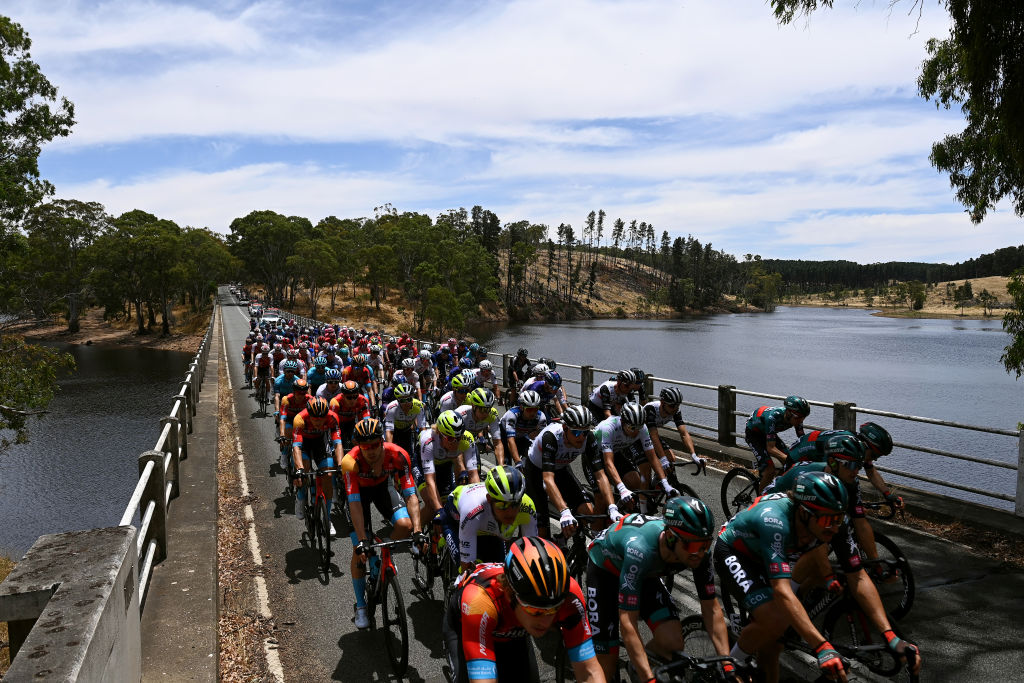 The peloton at the Tour Down Under.