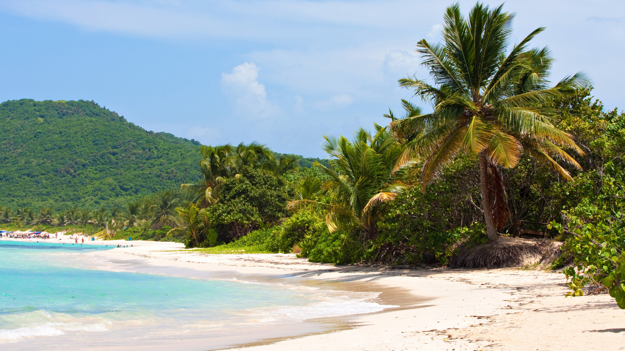 Crystal blue waters, palm trees and white sand at Playa Flamenco