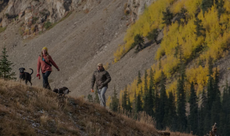 A man and a woman hiking with 2 dogs whilst wearing clothing available from Orvis.