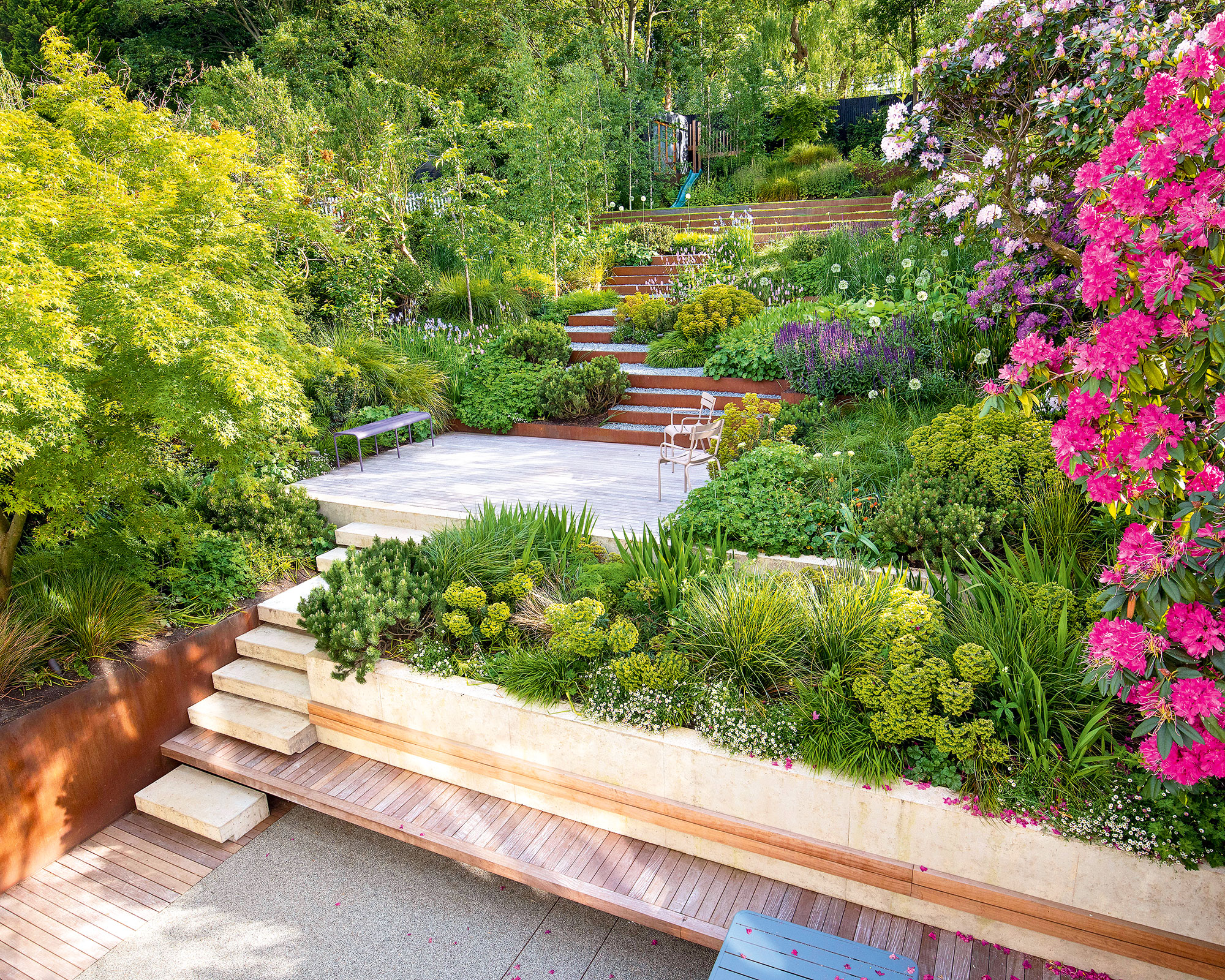 Multi level garden with wooden steps, pink flowers, trees and plants