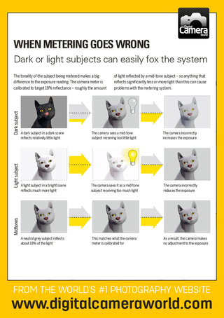 Here's our cheat sheet, previously formatted as a tips card for Digital Camera Magazine. We've put the front and back side by side so that it's ideal for viewing on a phone held sideways. Why not download the image and save it to your phone's camera roll?