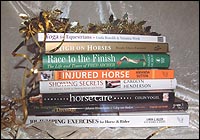 xmasbooks.jpg