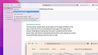 How to use Safari Tab Groups in macOS Monterey