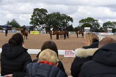 M&M working hunter ponies, improving the riding standard at the RIHS and key rule changes discussed at BSPS member&rsquo;s conference