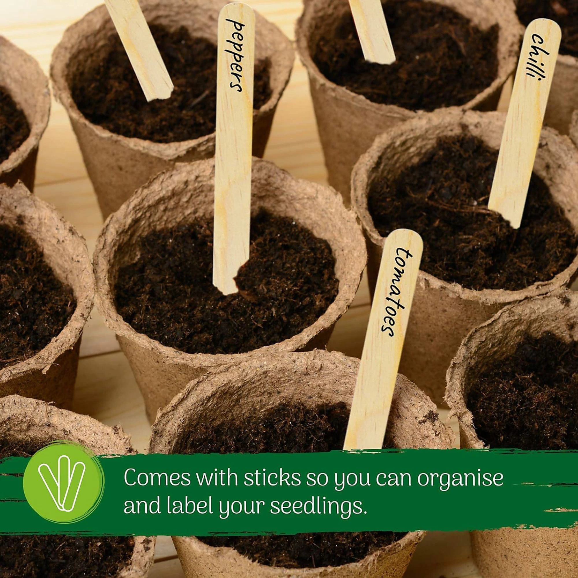 biodegradable pots with soil and sticks