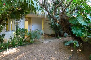 Tropical garden and entrance to Jorge Zalszupin house, Casa Museo Zalszupin, in Sao Paulo