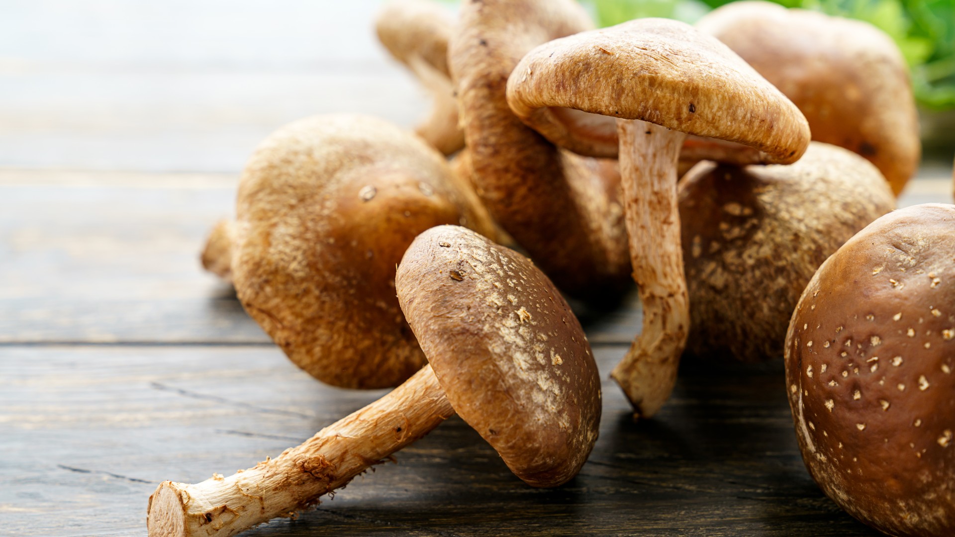 Shiitake mushrooms on wooden bench