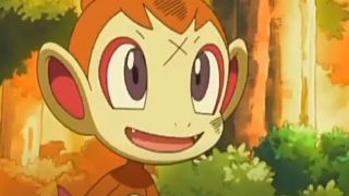 Chimchar in Pokemon.