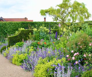 Mixed herbaceous border, English garden