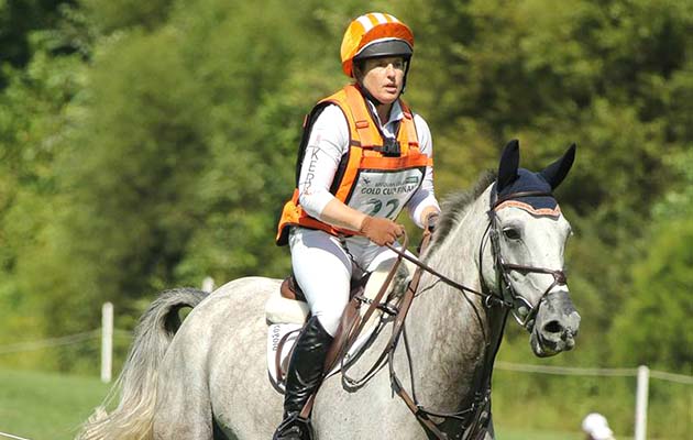 Cooley event horses: Cooley On Show