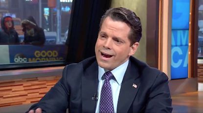 Anthony Scaramucci sticks up for Donald Trump Jr.